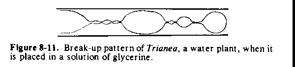Figure 8-11